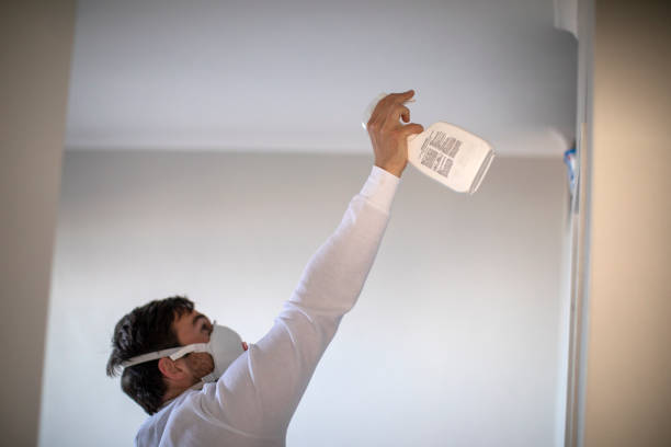 Best Mold Testing  in Jefferson, WI