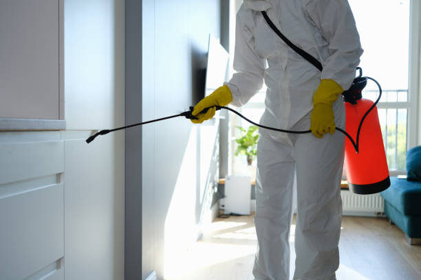 Mold Removal Process in Jefferson, WI