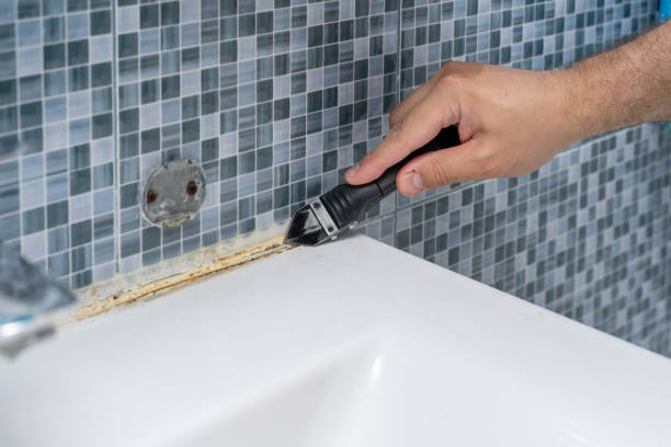 Best Mold Removal Process  in Jefferson, WI